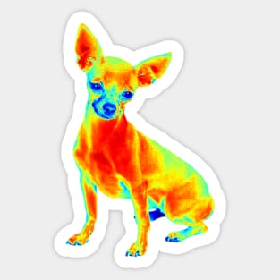 Chihuahua Heatmap Sticker